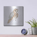 'Barn Owl VI' by Chris Paschke – Metal Wall Art, 12x12 room view