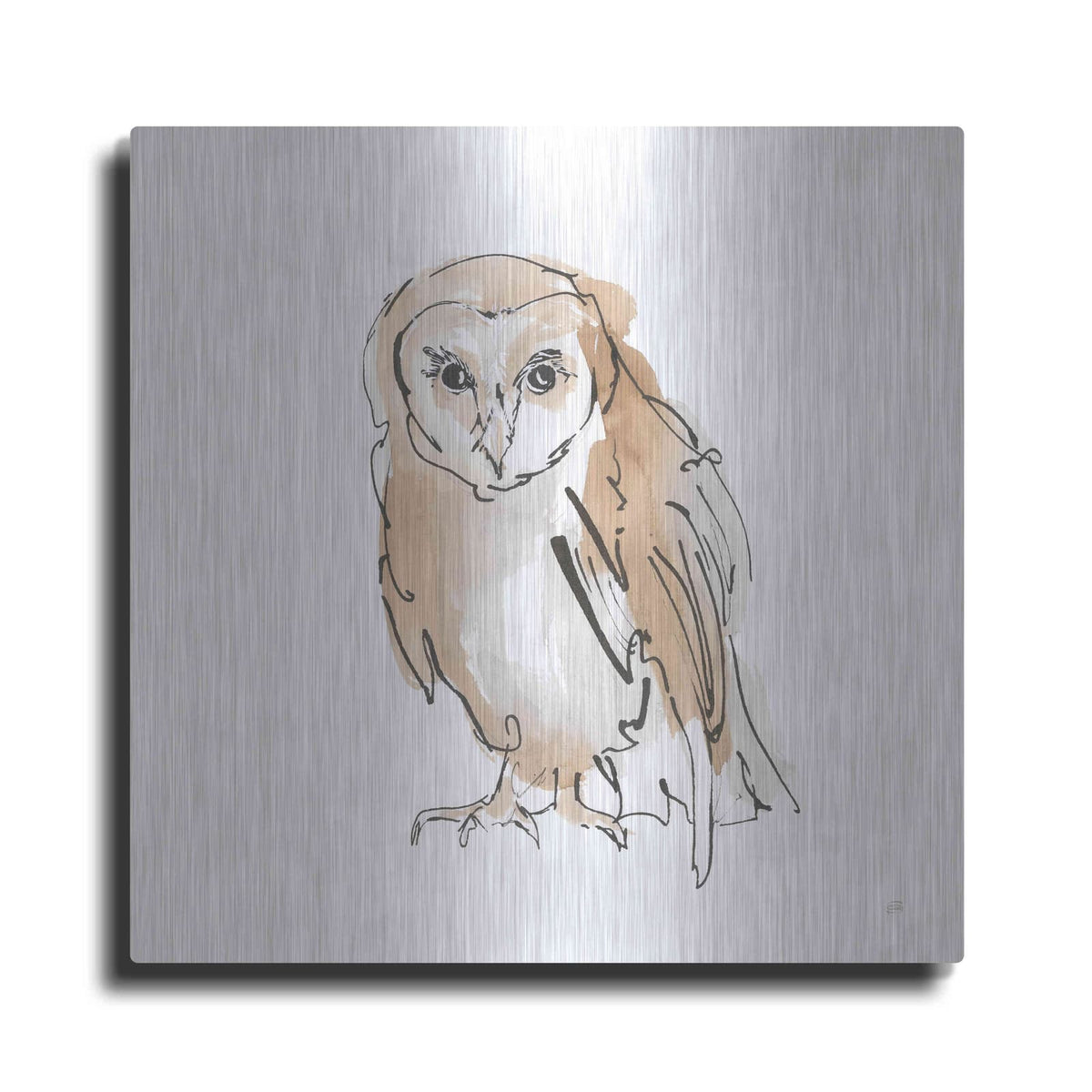 'Barn Owl VII' by Chris Paschke – Metal Wall Art