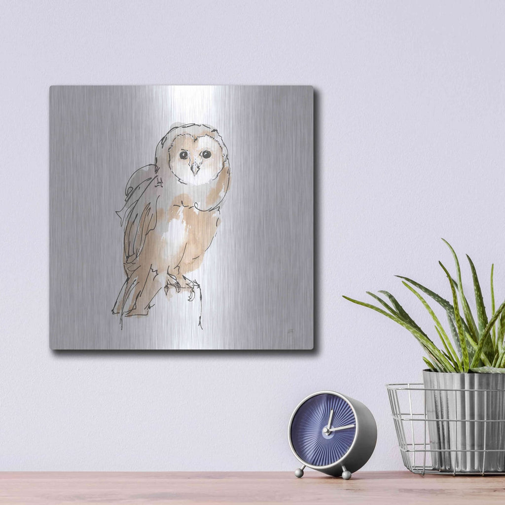 'Barn Owl VIII' by Chris Paschke – Metal Wall Art, 12x12 room view