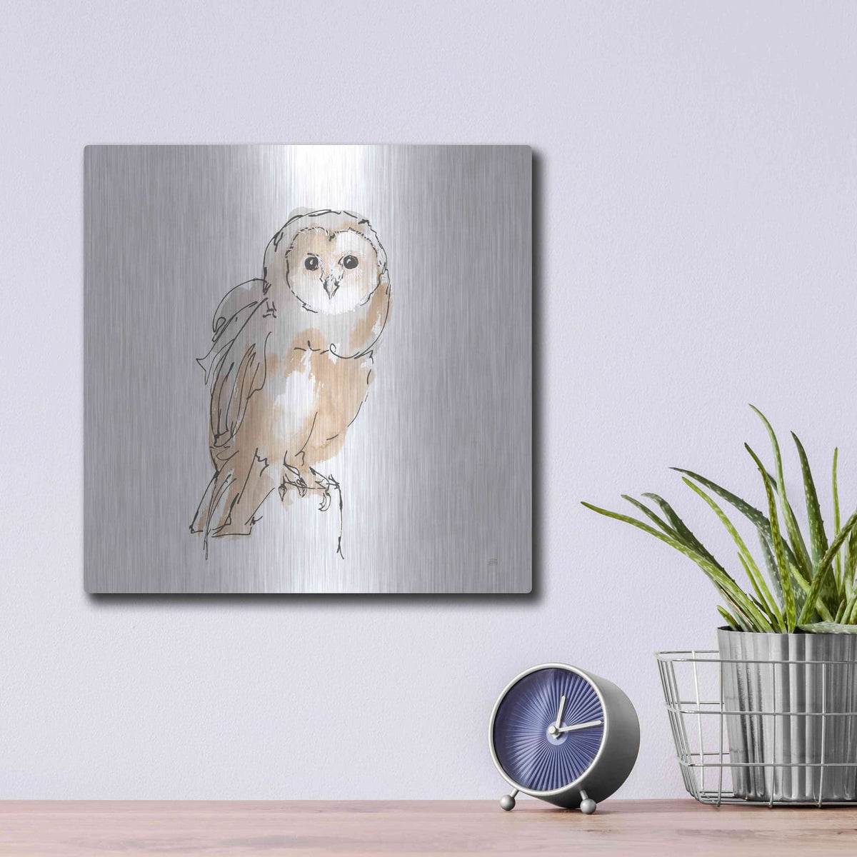 'Barn Owl VIII' by Chris Paschke – Metal Wall Art, 12x12 room view