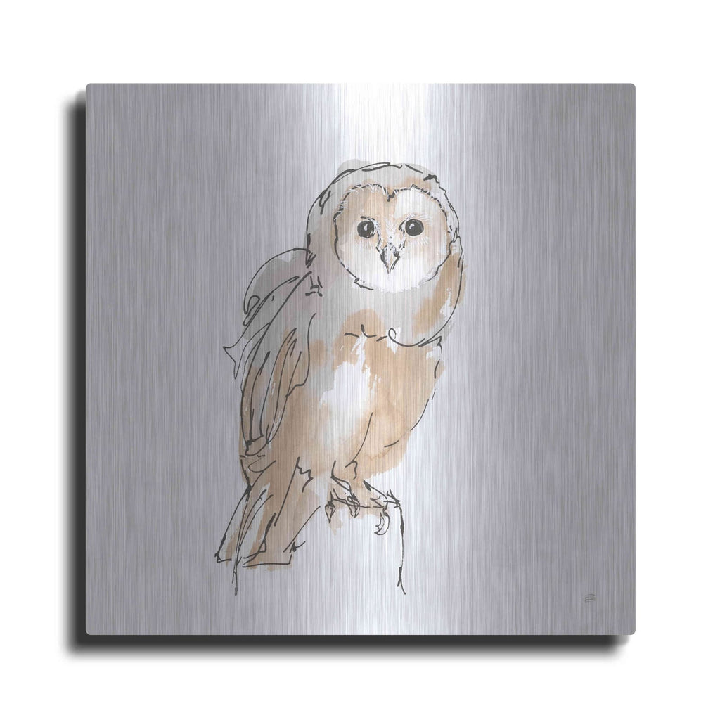 'Barn Owl VIII' by Chris Paschke – Metal Wall Art