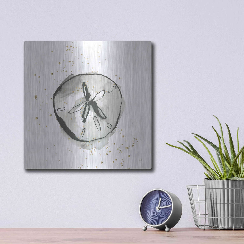 'Sand Dollar II' by Chris Paschke – Metal Wall Art, 12x12 room view