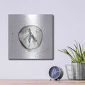 'Sand Dollar II' by Chris Paschke – Metal Wall Art, 12x12 room view