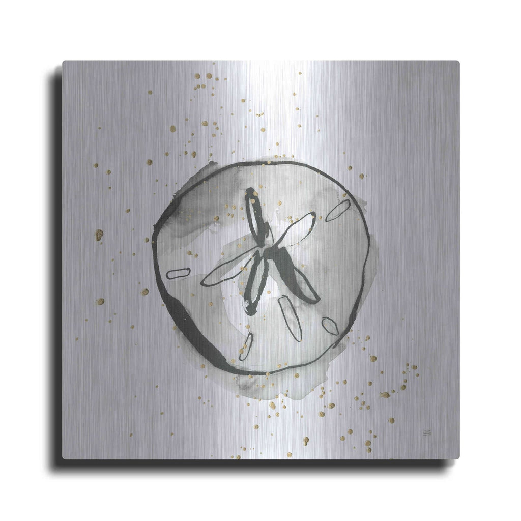 'Sand Dollar II' by Chris Paschke – Metal Wall Art