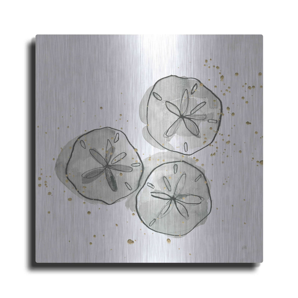 'Sand Dollar III' by Chris Paschke – Metal Wall Art