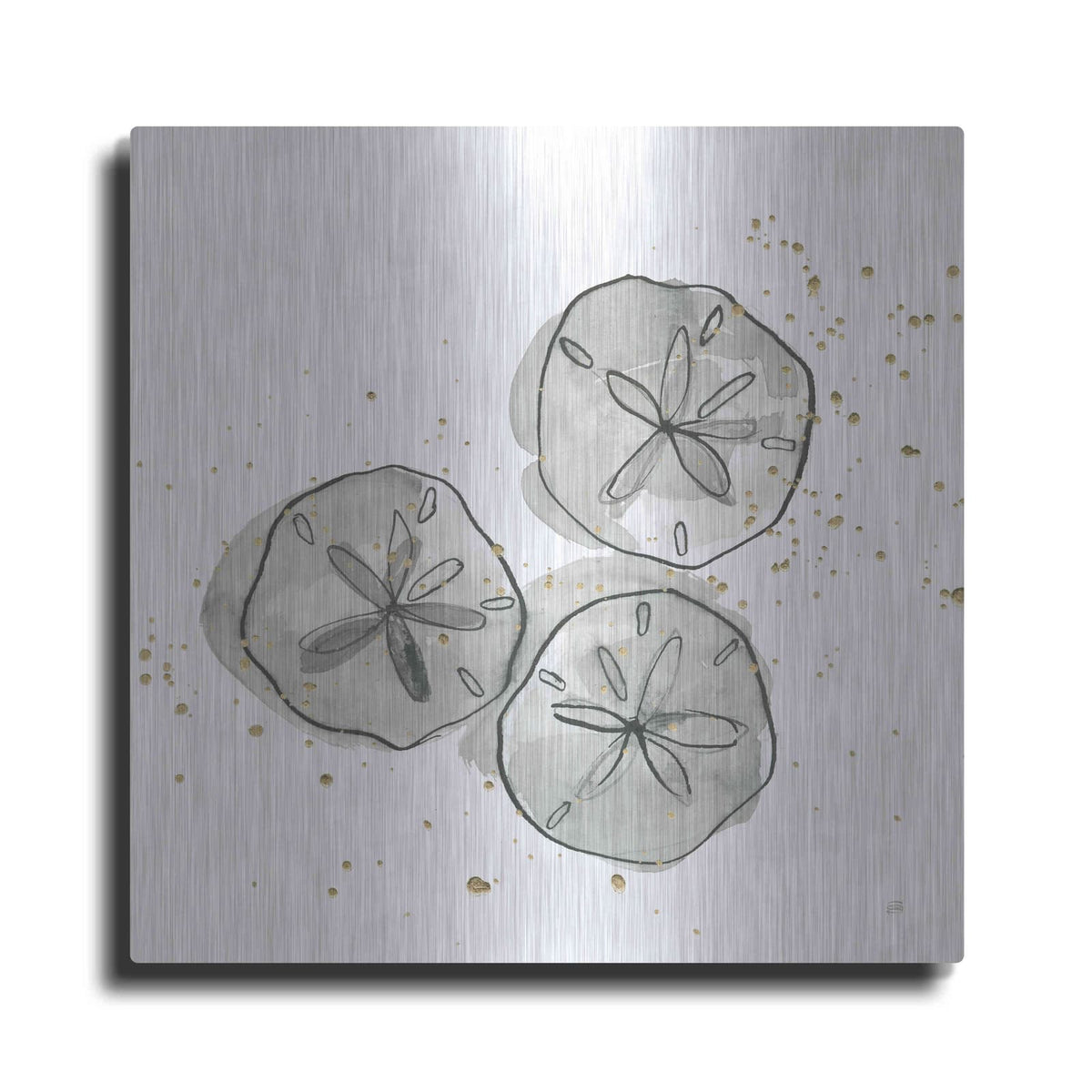 'Sand Dollar III' by Chris Paschke – Metal Wall Art