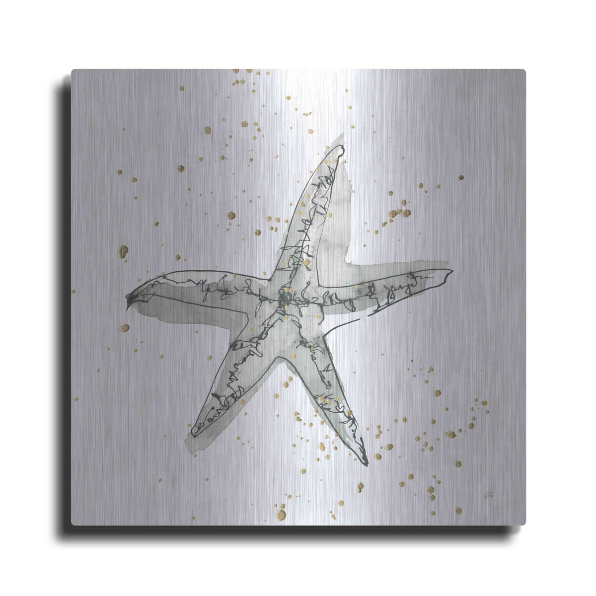 'Starfish I' by Chris Paschke – Metal Wall Art