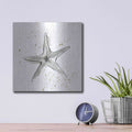 'Starfish II' by Chris Paschke – Metal Wall Art, 12x12 room view