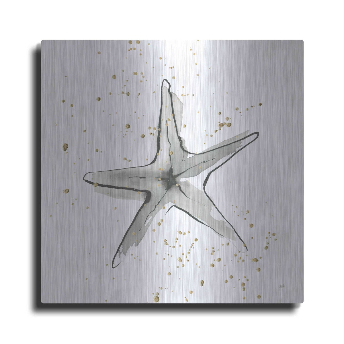 'Starfish II' by Chris Paschke – Metal Wall Art