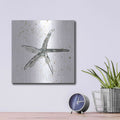 'Starfish III' by Chris Paschke – Metal Wall Art, 12x12 room view