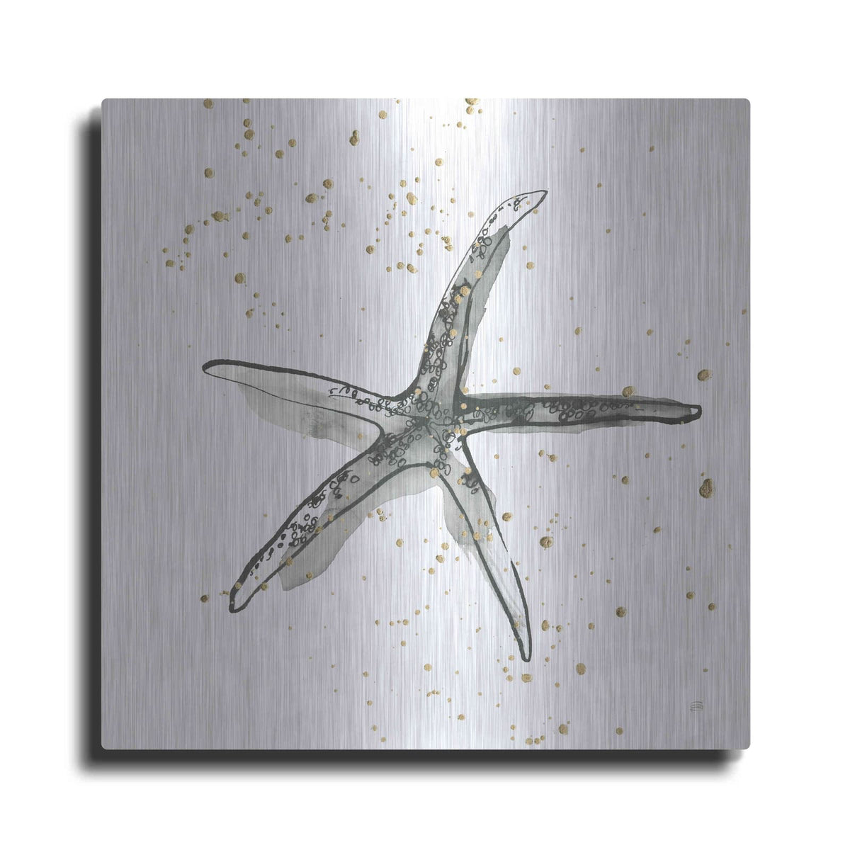 'Starfish III' by Chris Paschke – Metal Wall Art
