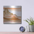 'Desertscape V' by Chris Paschke – Metal Wall Art, 12x12 room view