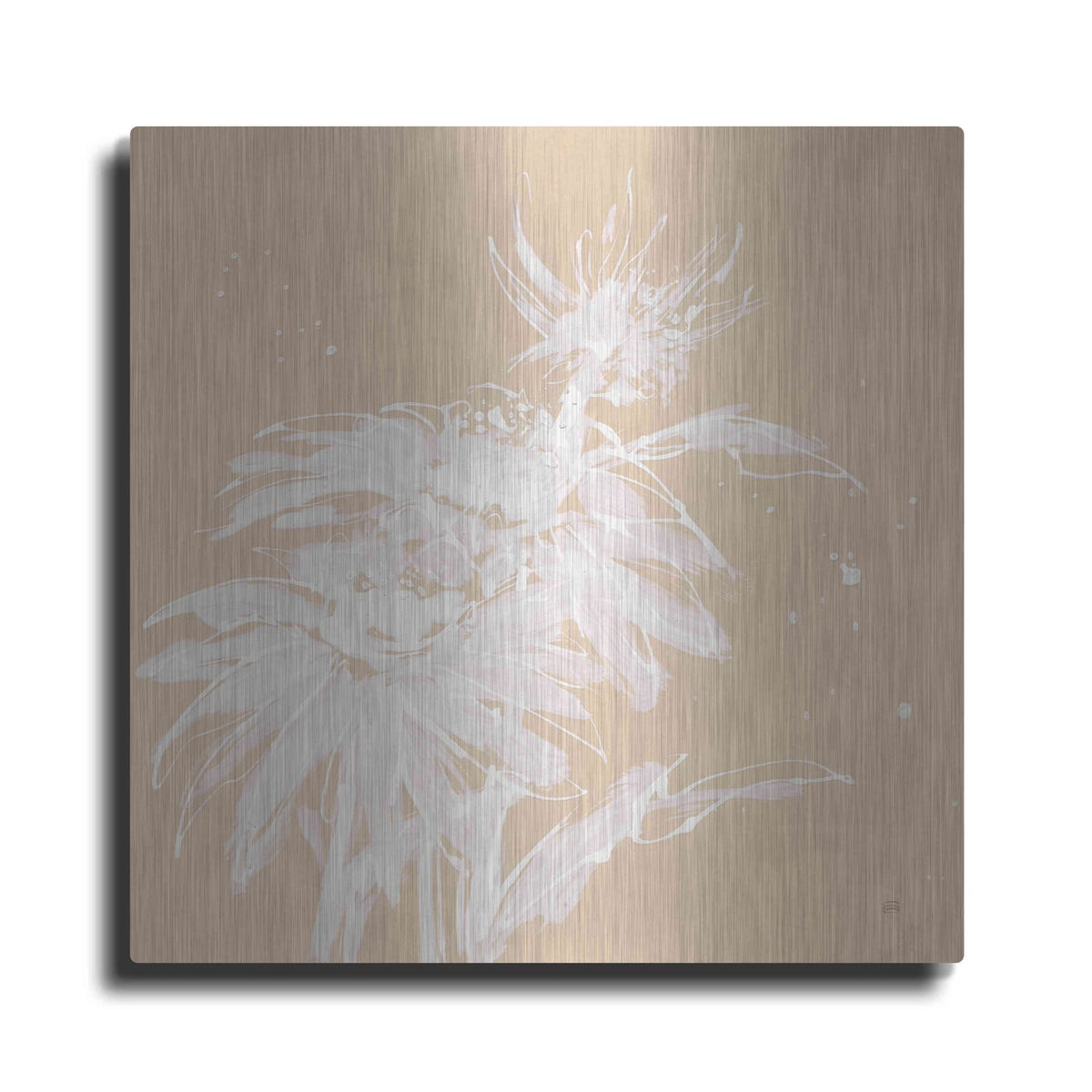 'Echinacea I' by Chris Paschke – Metal Wall Art