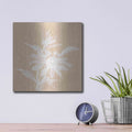 'Echinacea II' by Chris Paschke – Metal Wall Art, 12x12 room view