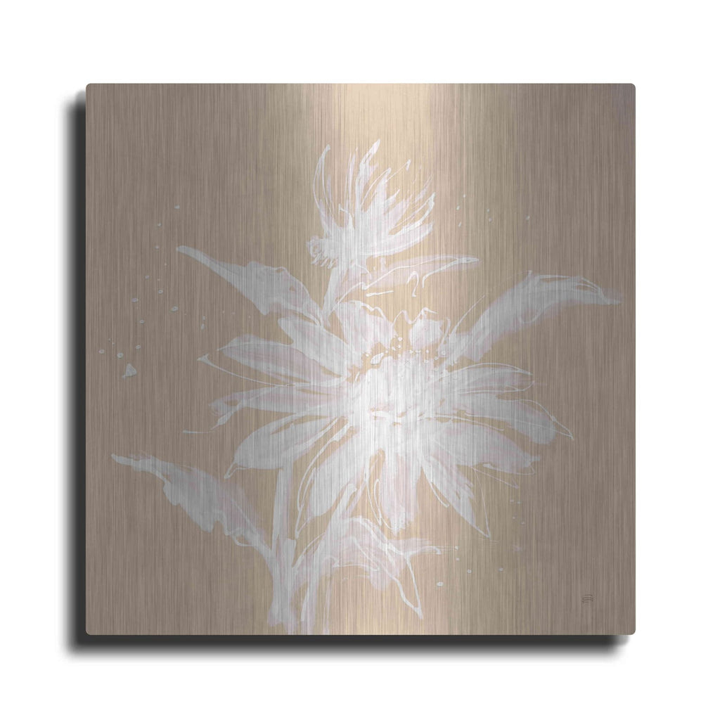 'Echinacea II' by Chris Paschke – Metal Wall Art