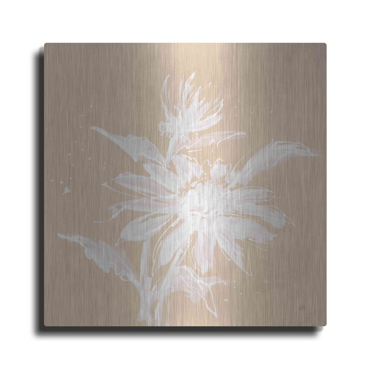 'Echinacea II' by Chris Paschke – Metal Wall Art