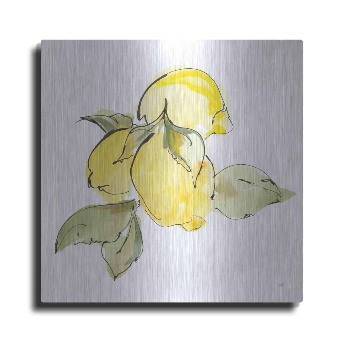 'Lemons I' by Chris Paschke – Metal Wall Art
