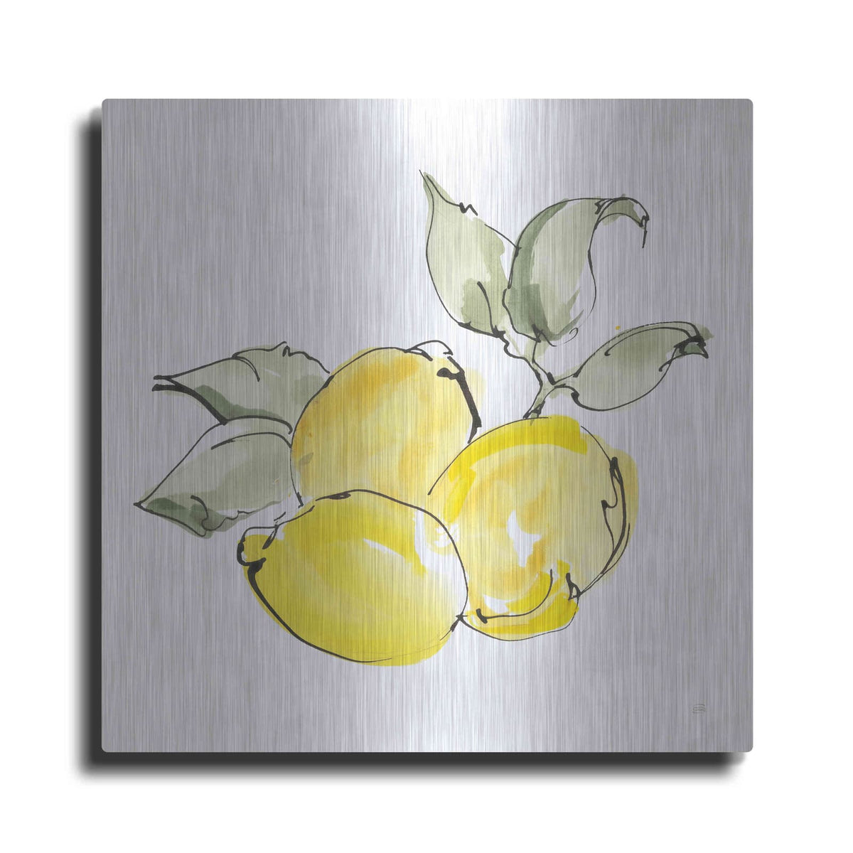 'Lemons II' by Chris Paschke – Metal Wall Art