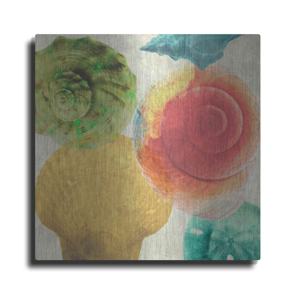 'Luminous Seashells 4' by Elena Ray – Metal Wall Art
