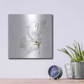 'Cool Gray III' by Chris Paschke – Metal Wall Art, 12x12 room view