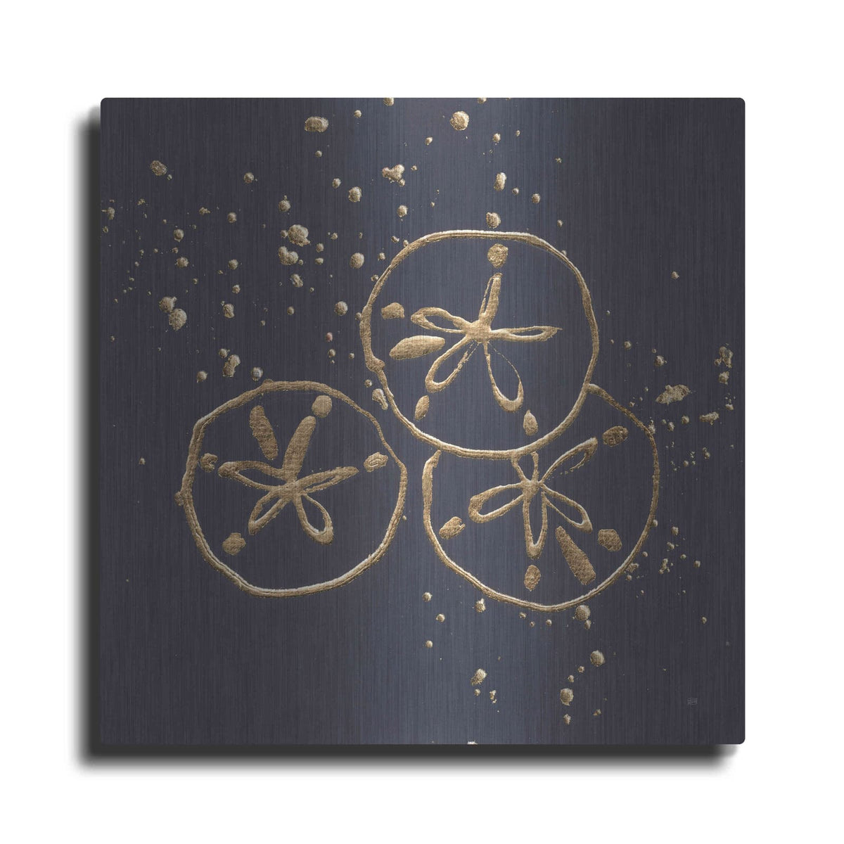 'Gold Sand Dollar II' by Chris Paschke – Metal Wall Art