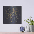 'Gold Sand Dollar Starfish' by Chris Paschke – Metal Wall Art, 12x12 room view