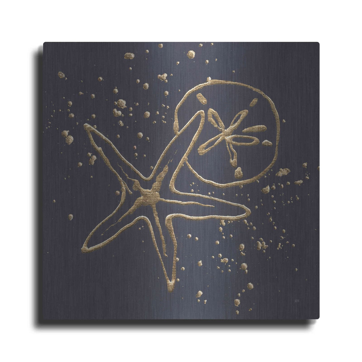 'Gold Sand Dollar Starfish' by Chris Paschke – Metal Wall Art
