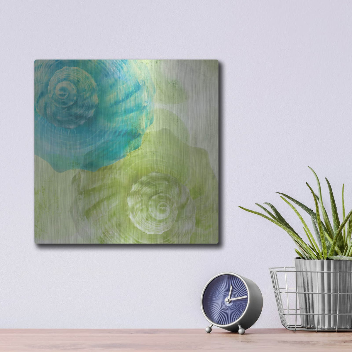'Luminous Seashells 3' by Elena Ray – Metal Wall Art, 12x12 room view