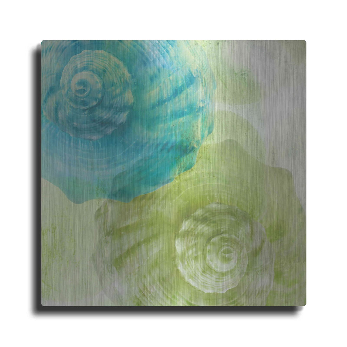 'Luminous Seashells 3' by Elena Ray – Metal Wall Art