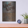 'Live Life' by Andrea Haase – Metal Wall Art, 12x16 room view