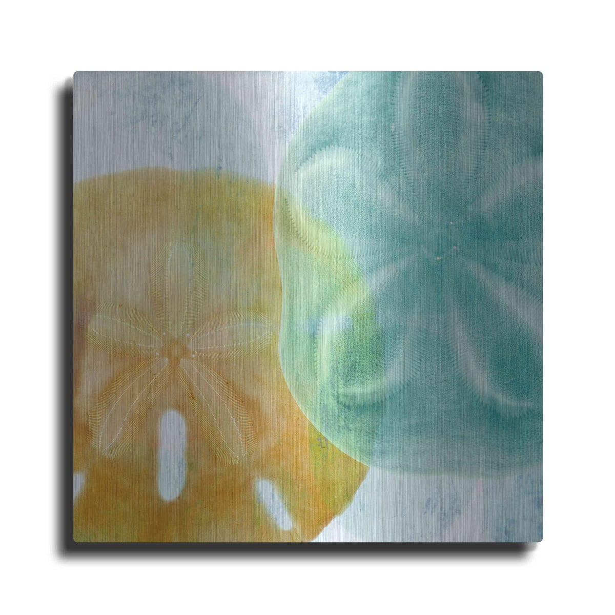 'Luminous Seashells' by Elena Ray – Metal Wall Art
