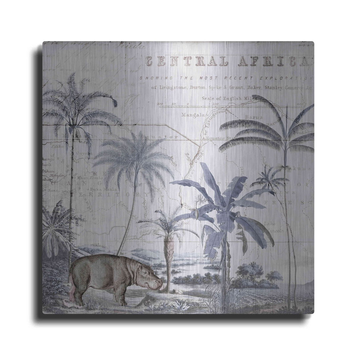 'Hippo Adventure' by Andrea Haase – Metal Wall Art