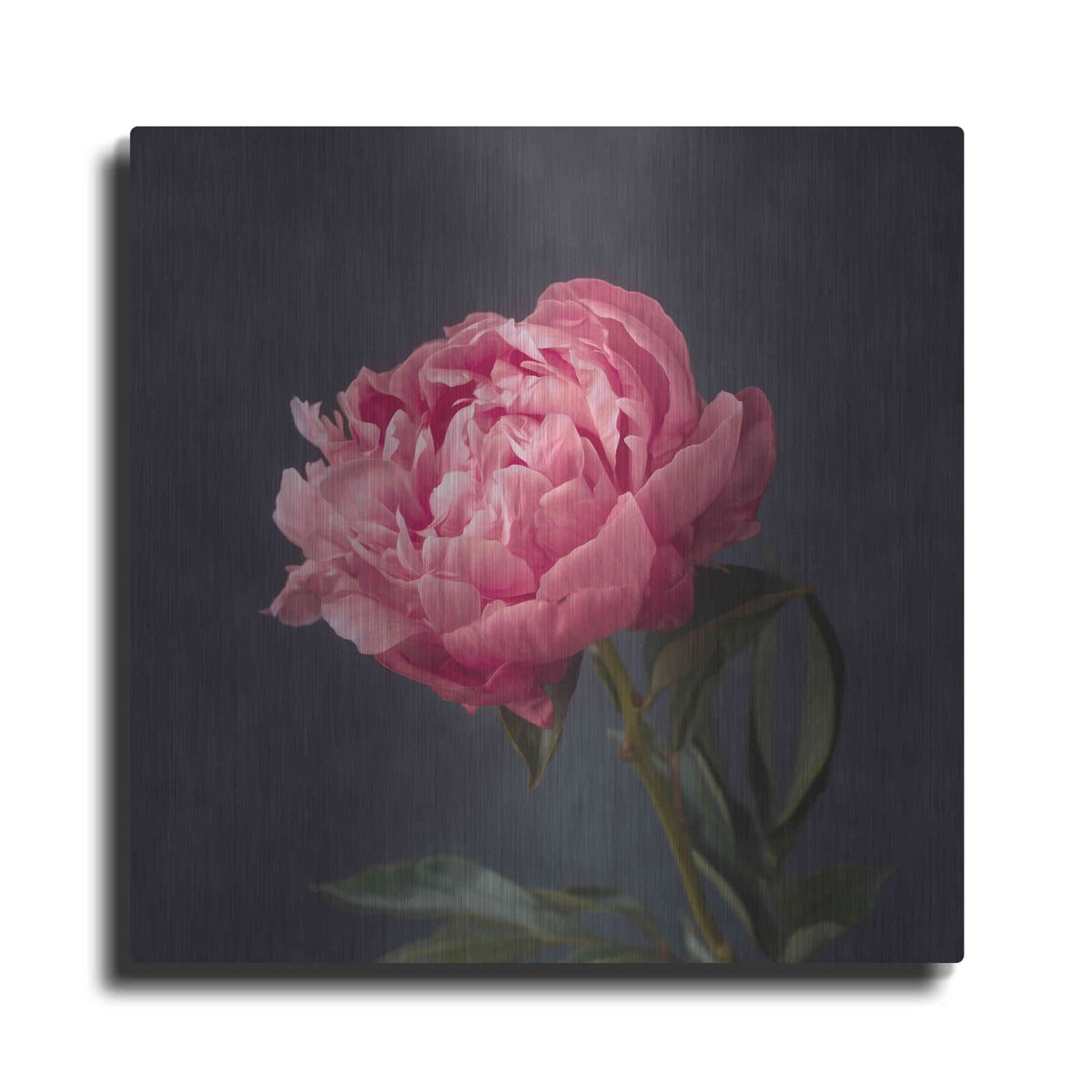 'Perfectly Pink' by Leah McLean – Metal Wall Art