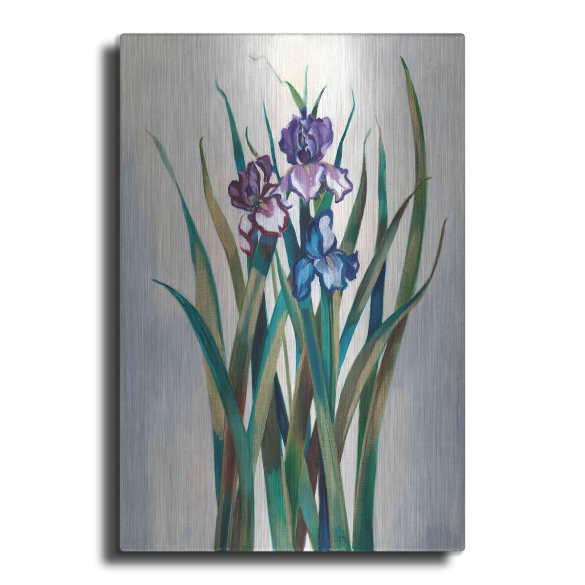 'Iris Jewels' by Louise Montillio – Metal Wall Art