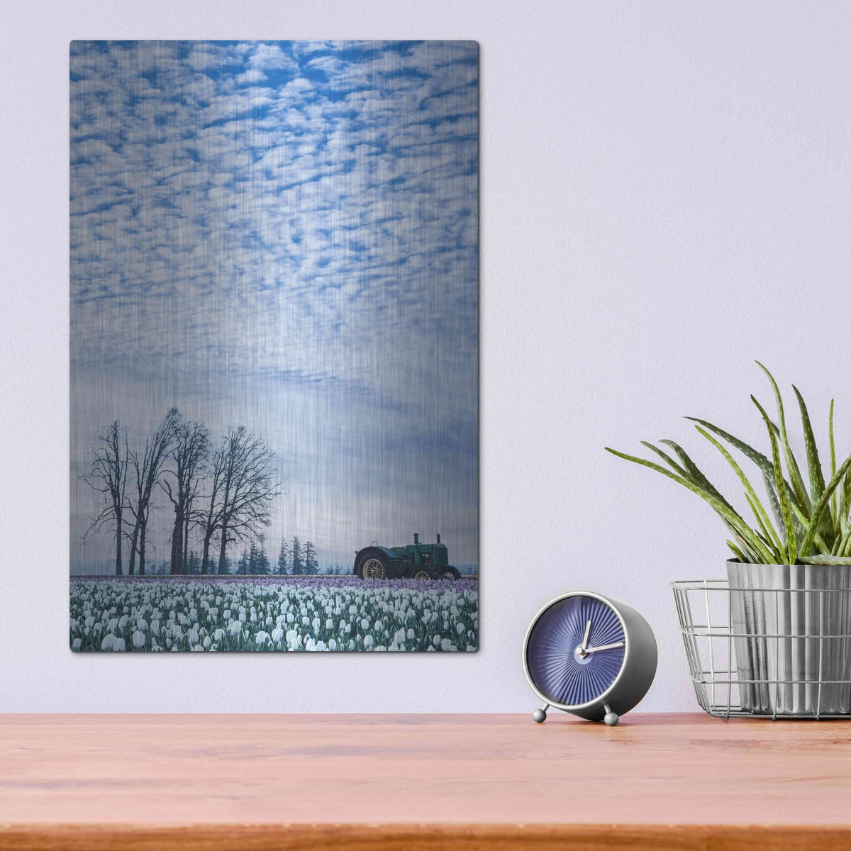 'Tractor Surrounded by Tulips' by Don Schwartz – Metal Wall Art, 12x16 room view