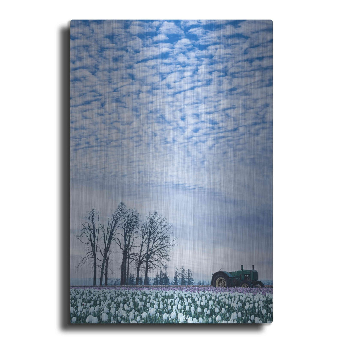 'Tractor Surrounded by Tulips' by Don Schwartz – Metal Wall Art