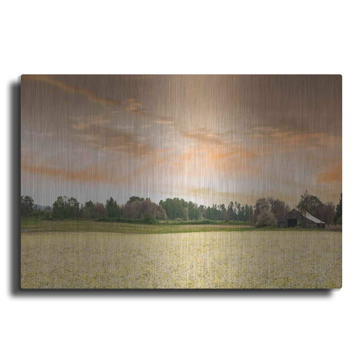'Barn In The Field Of Spring Flowers' by Don Schwartz – Metal Wall Art