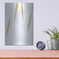 'So Delicate' by Don Schwartz – Metal Wall Art, 12x16 room view