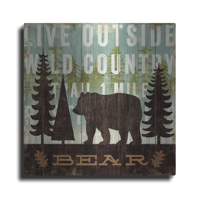 'Simple Living Bear' by Michael Mullan – Metal Wall Art