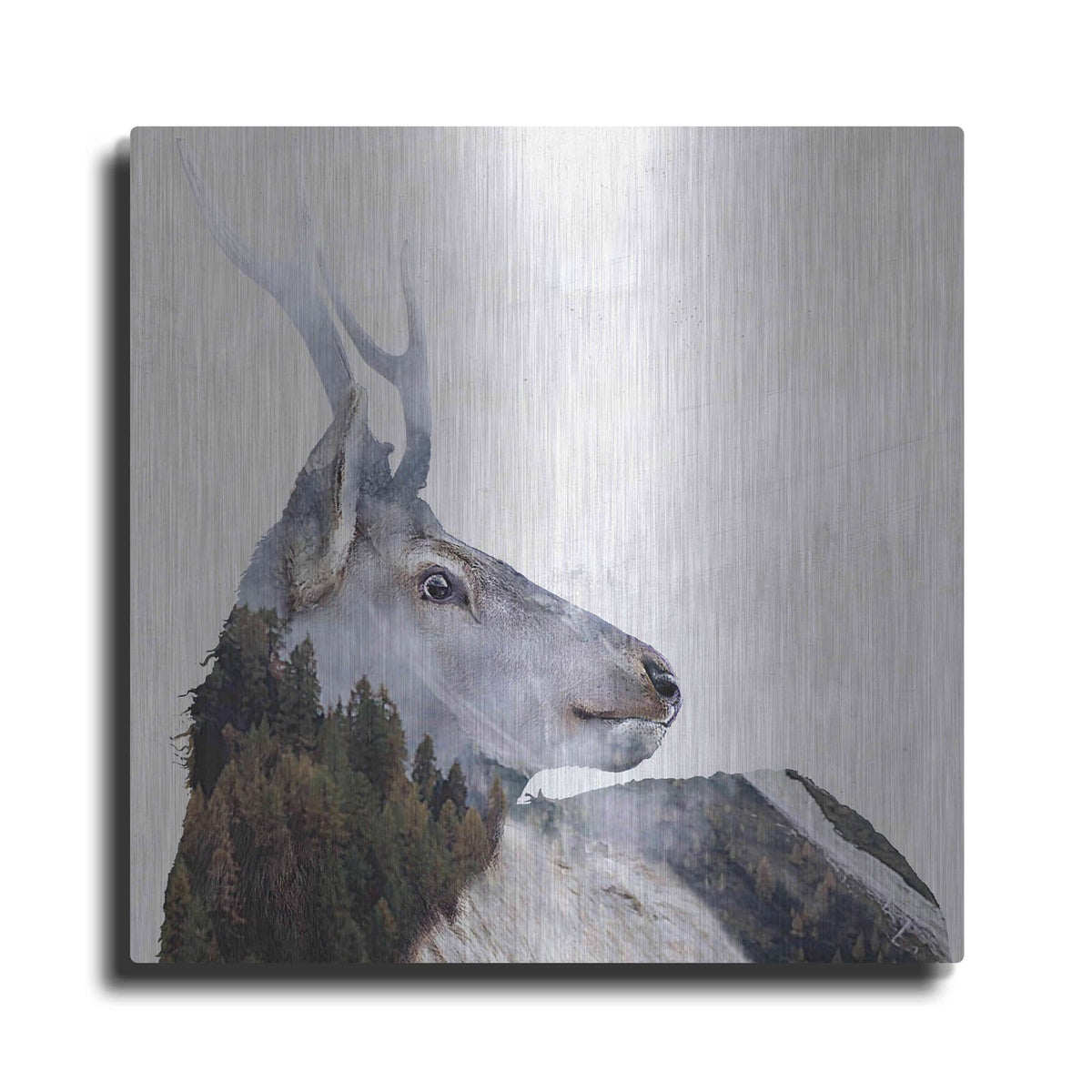 'Alpine Stag' by Karen Smith – Metal Wall Art