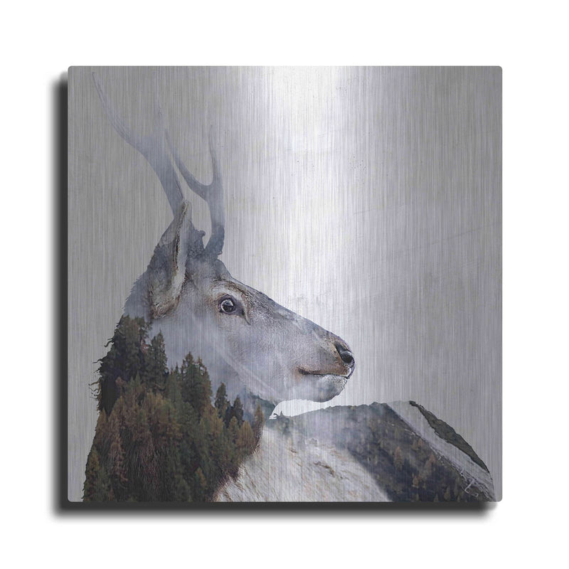 'Alpine Stag' by Karen Smith – Metal Wall Art