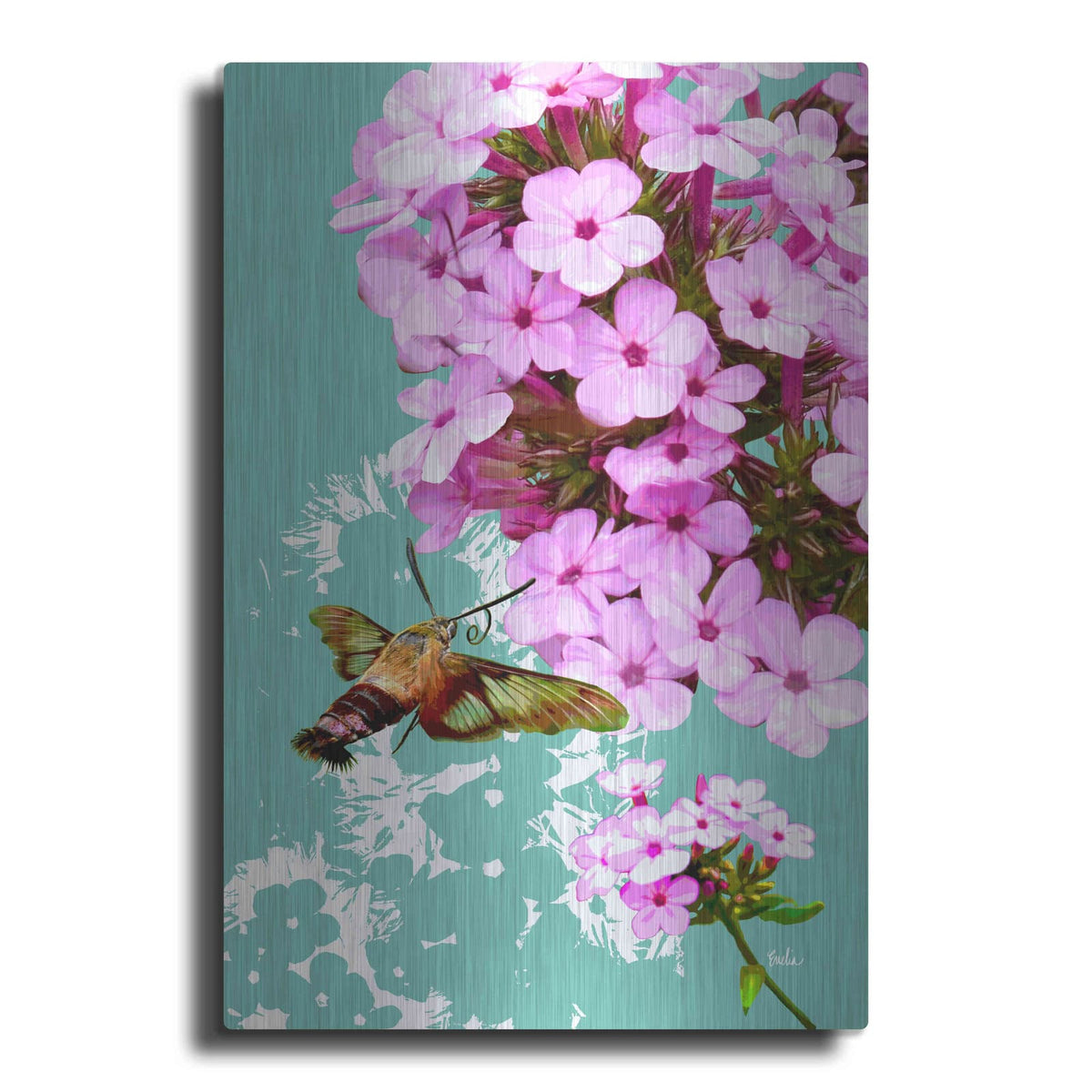 'Clearwing On Flox' by Evelia Designs – Metal Wall Art