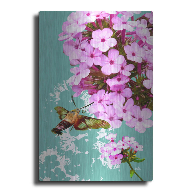 'Clearwing On Flox' by Evelia Designs – Metal Wall Art