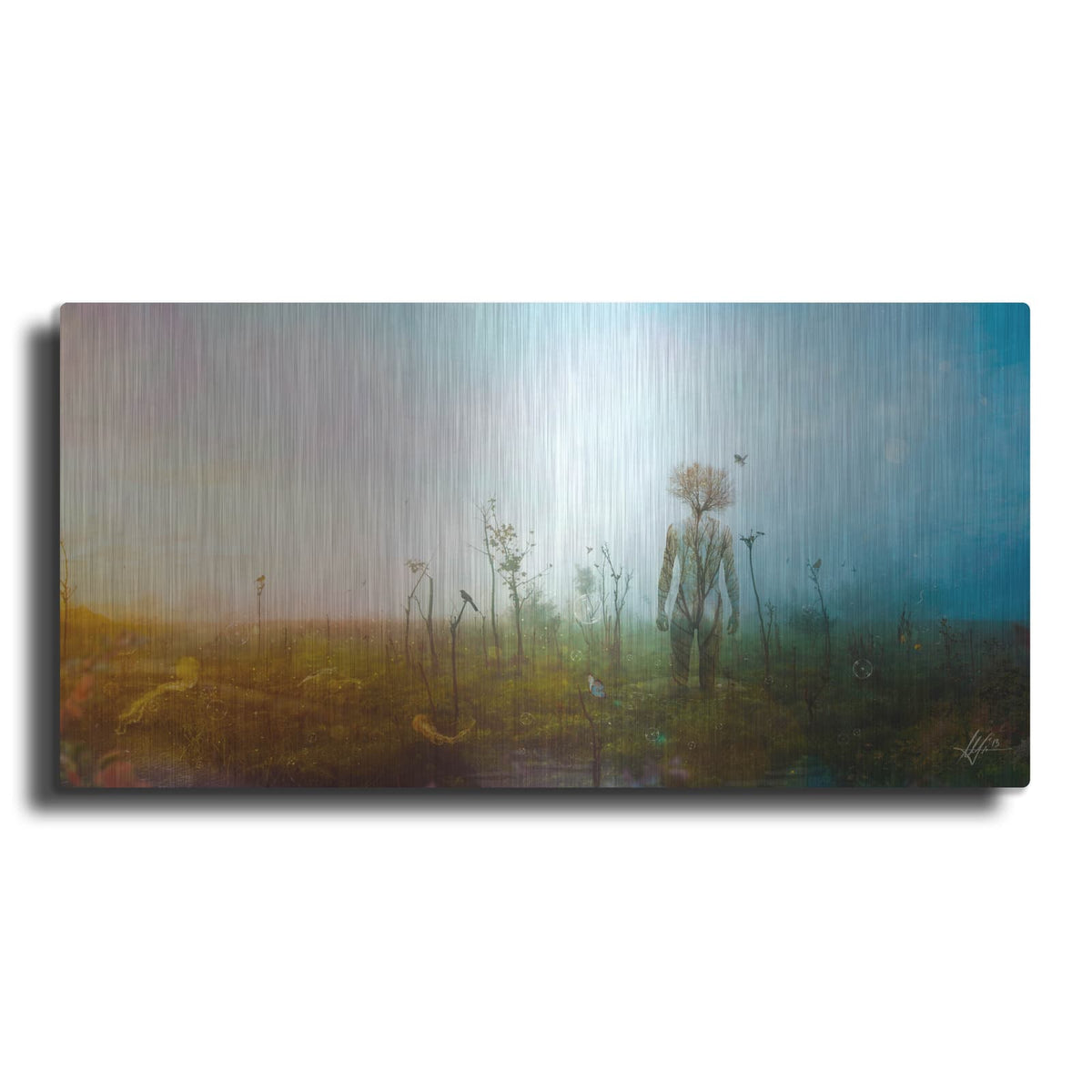 'Internal Landscapes' by Mario Sanchez Nevado – Metal Wall Art