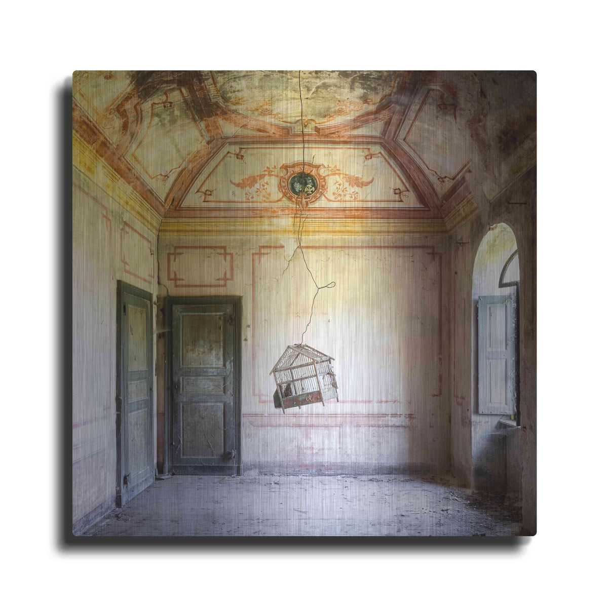 'Bird Cage' by Roman Robroek – Metal Wall Art