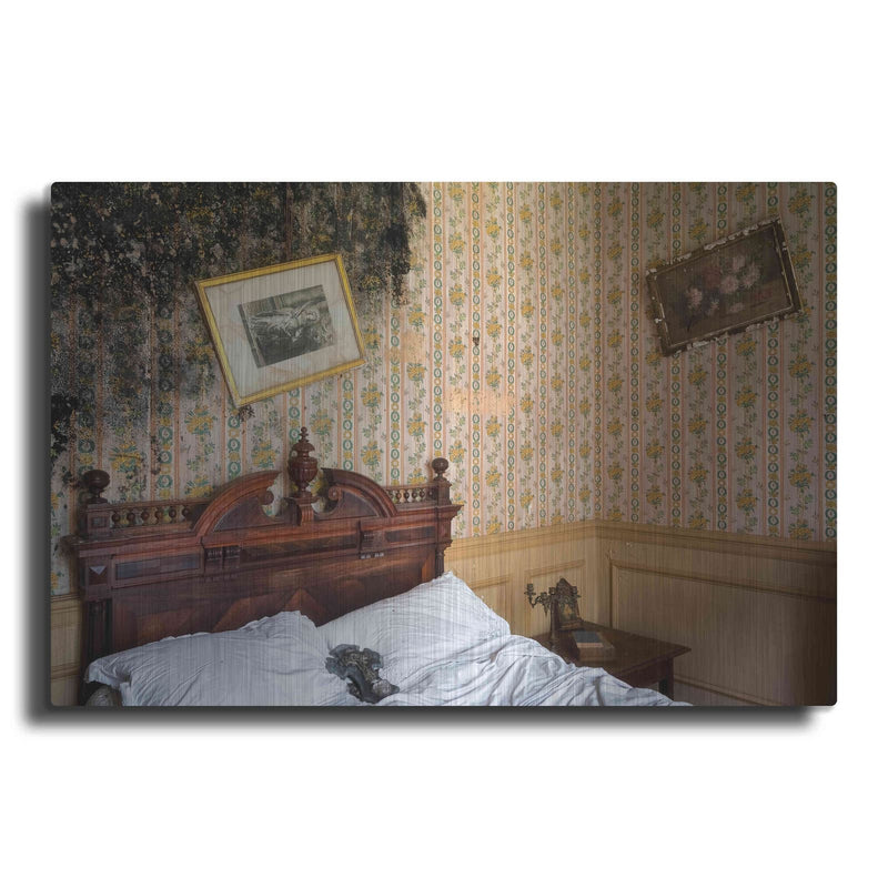'Mold Bedroom' by Roman Robroek – Metal Wall Art