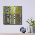 'Fall Birches' by Michelle Calkins – Metal Wall Art, 12x12 room view
