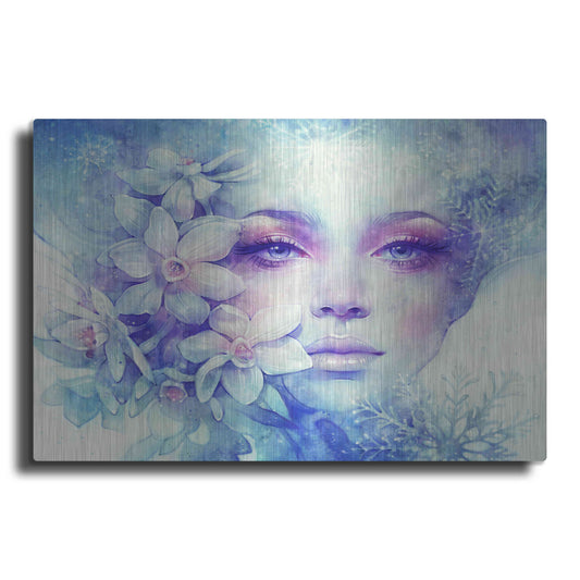 Luxe Metal Art 'December' by Anna Dittman, Metal Wall Art