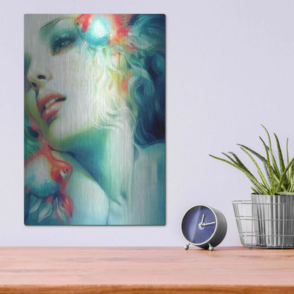 Luxe Metal Art 'Scale' by Anna Dittman, Metal Wall Art,12x16