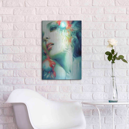 Luxe Metal Art 'Scale' by Anna Dittman, Metal Wall Art,16x24